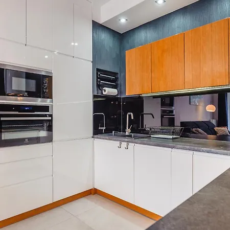 Blue Merlin - River View グダニスク